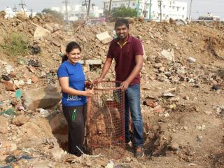 CETAA Chennai for a Greener Chennai