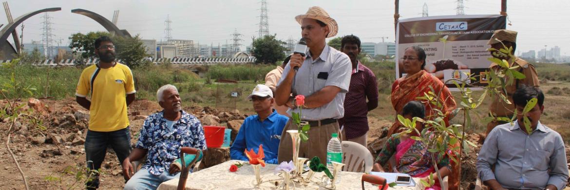 Tree Planting Initiative